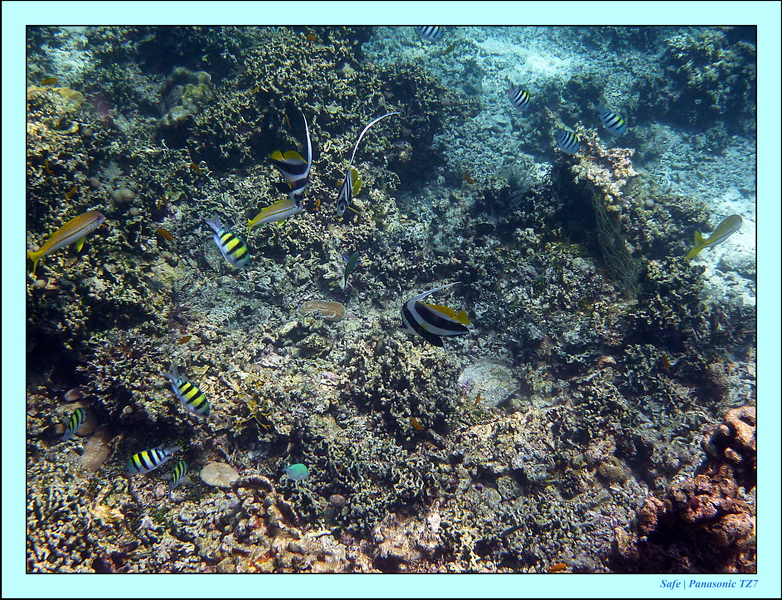 2011 - 03 - Koh Rok 11